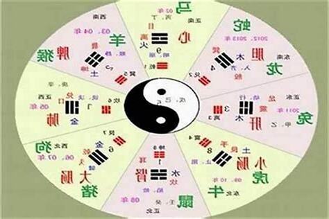 年 五行